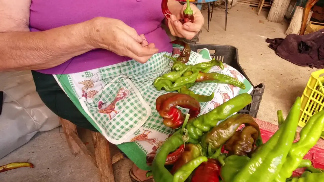 Skewing sweet peppers on the wire to make them dry together