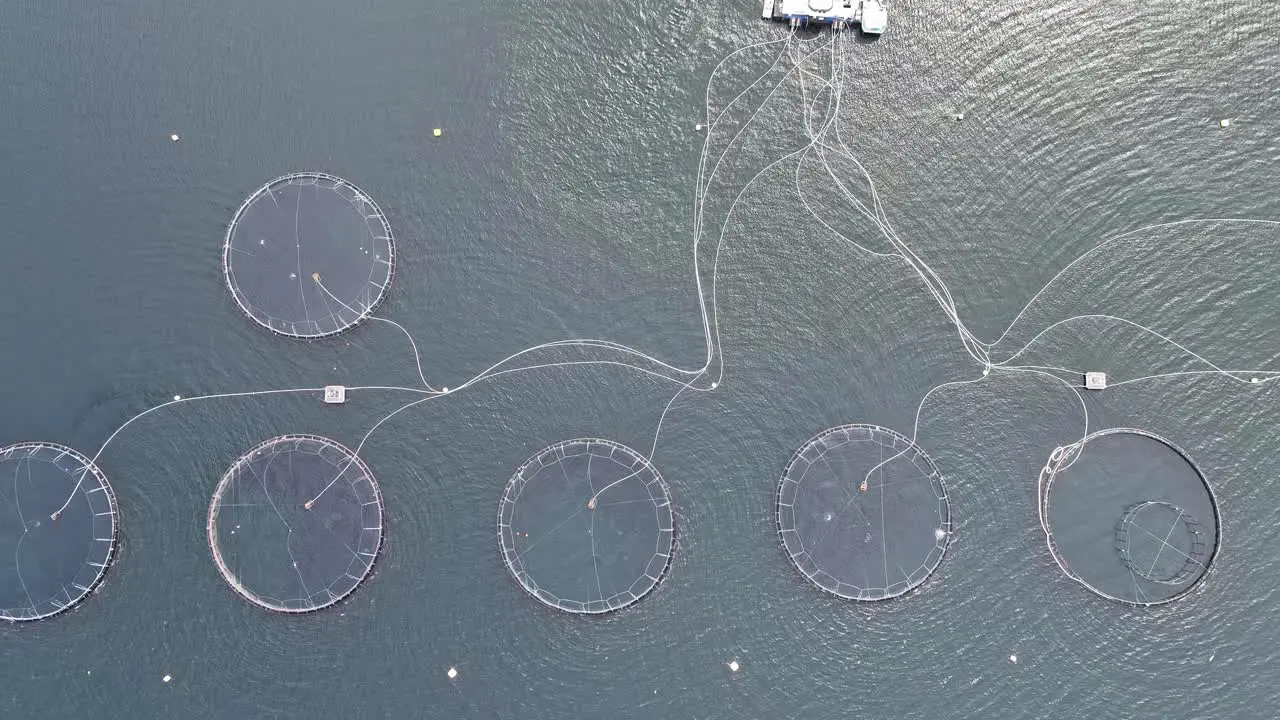 Salmon farms at sea in Norway Top down upward moving aerial above circular cages and feeding tubes for food