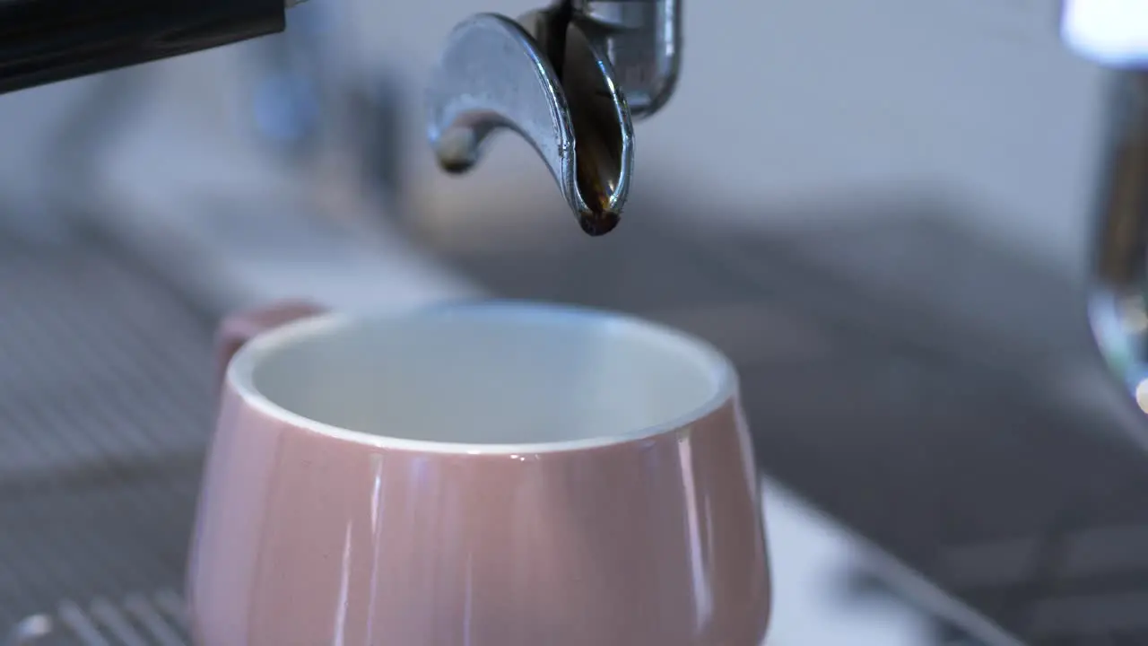 Changing coffee cup and portafilter on coffee machine in light cafe closeup