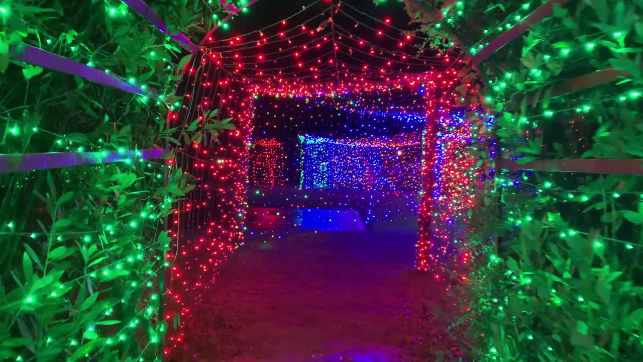 Entering tunnel of thousands of Christmas lights