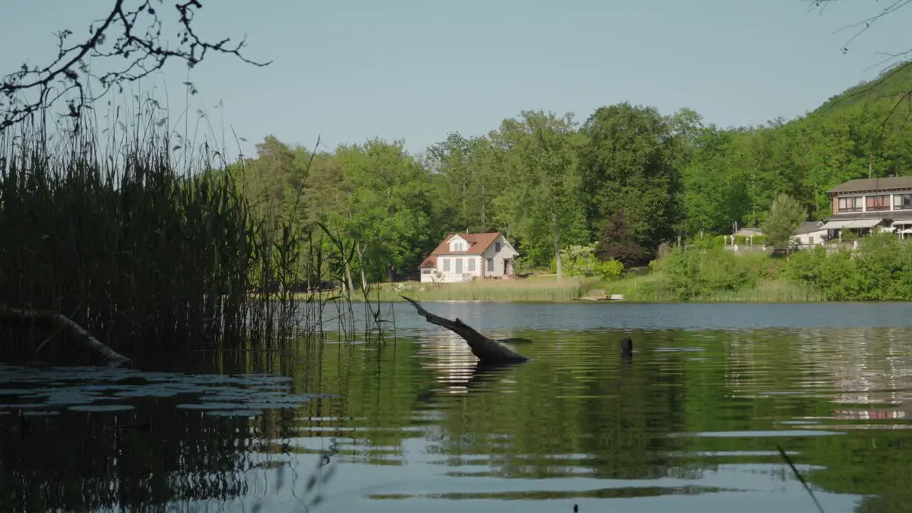 Beautiful white cottage on the edge of a still calm lake in the springtime