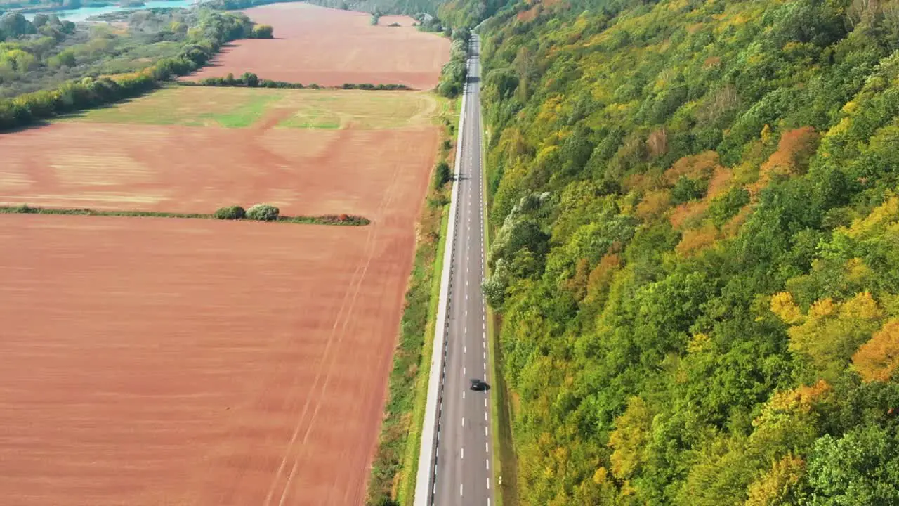 Aerial shot of the car riding straight the road in autumn sunny day with colorful forest going away