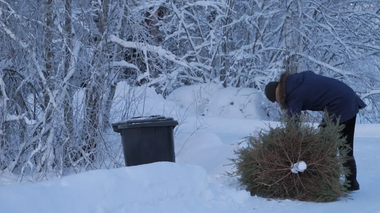 man dragging used fir Christmas tree out into the trash can