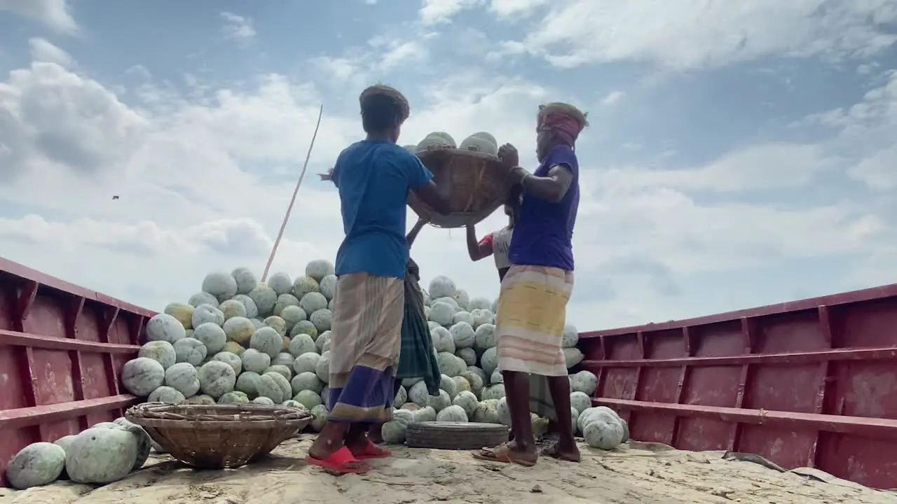 Labors Unloading Ash Gourd In Baskets Out Of Big Dock In Sunny Day Dhaka Bangladesh