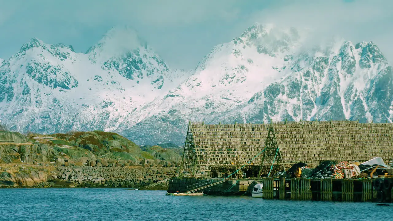 Stunning cinematic shot of millions of stockfish hanging up to dry