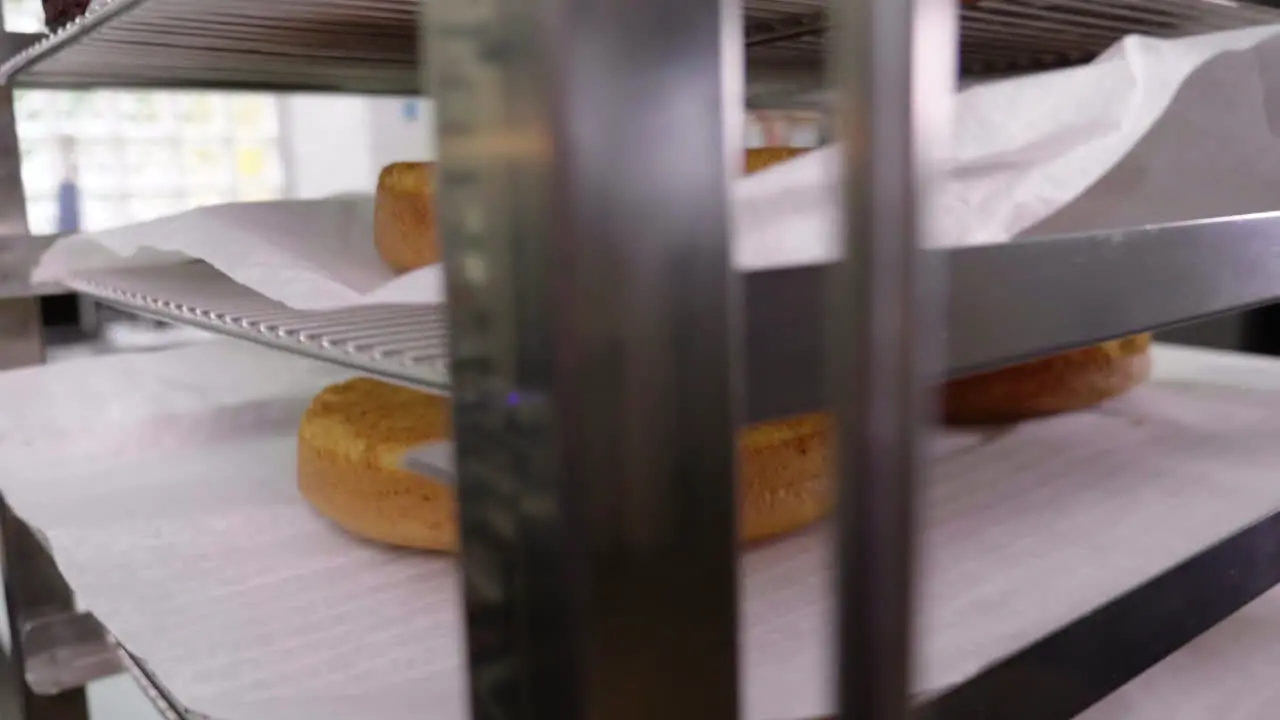 A slow motion clip of a cake rack filled with chocolate and plain sponges