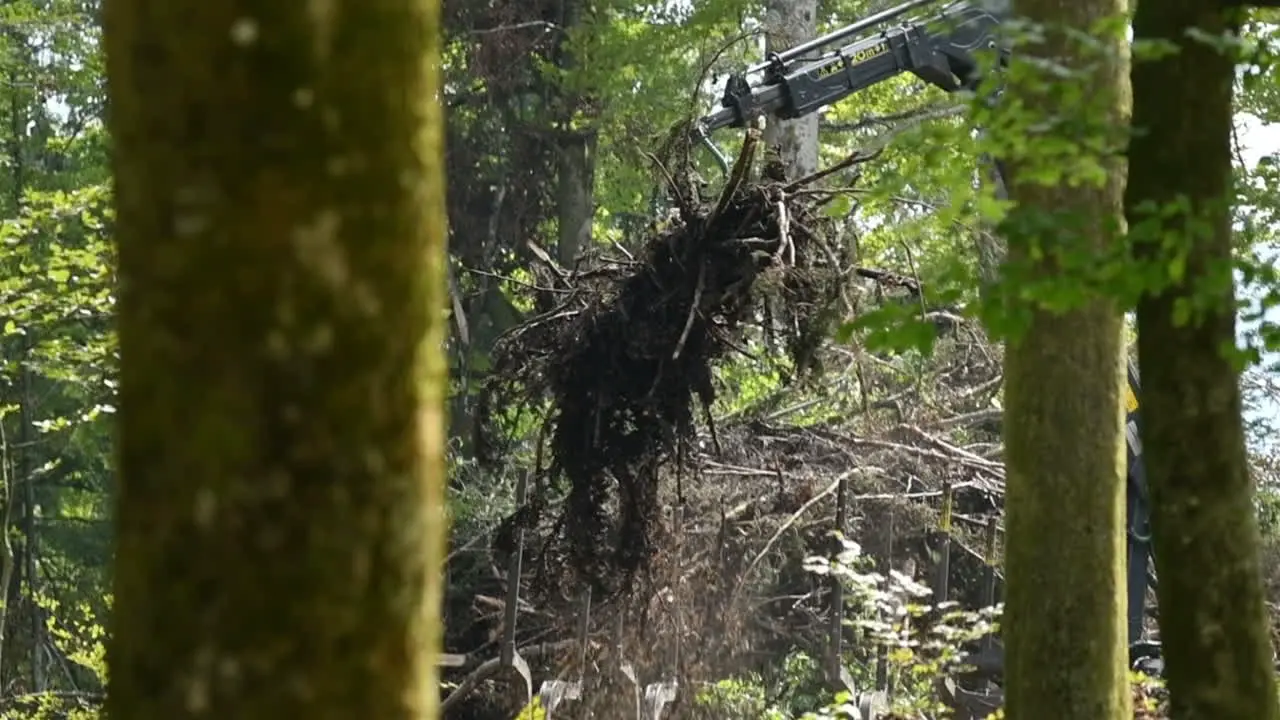 Deforestation concept large machine cleaning the forest landscape