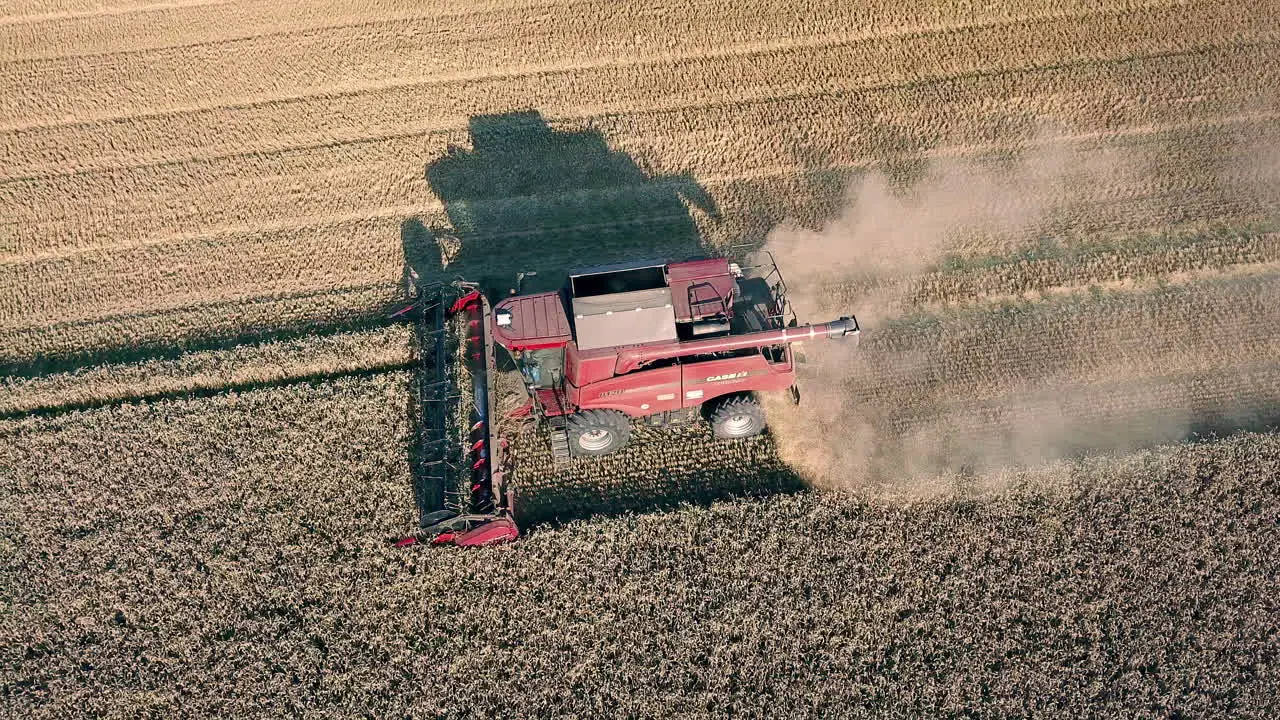 Red combine harvester harvesting yellow wheat field 4K