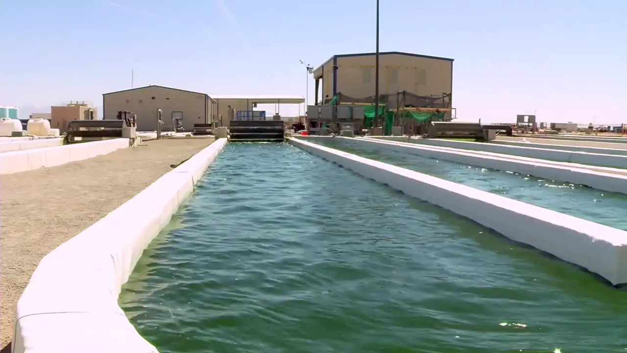 A Large Scale Outdoor Farm Grows Algae For Biofuel 2