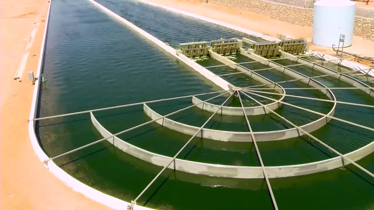 A Large Scale Outdoor Farm Grows Algae For Biofuel 1