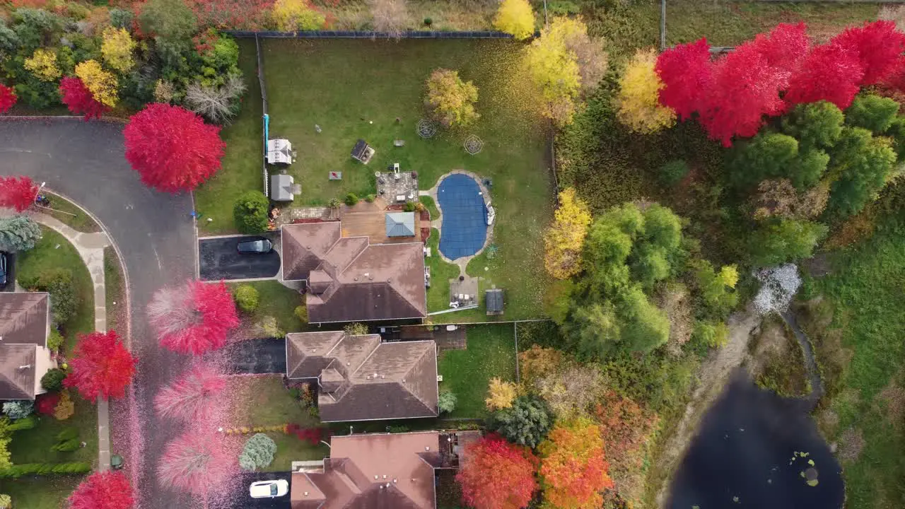 Drone flying over city suburbs with private houses and colorful gardens on sunny day