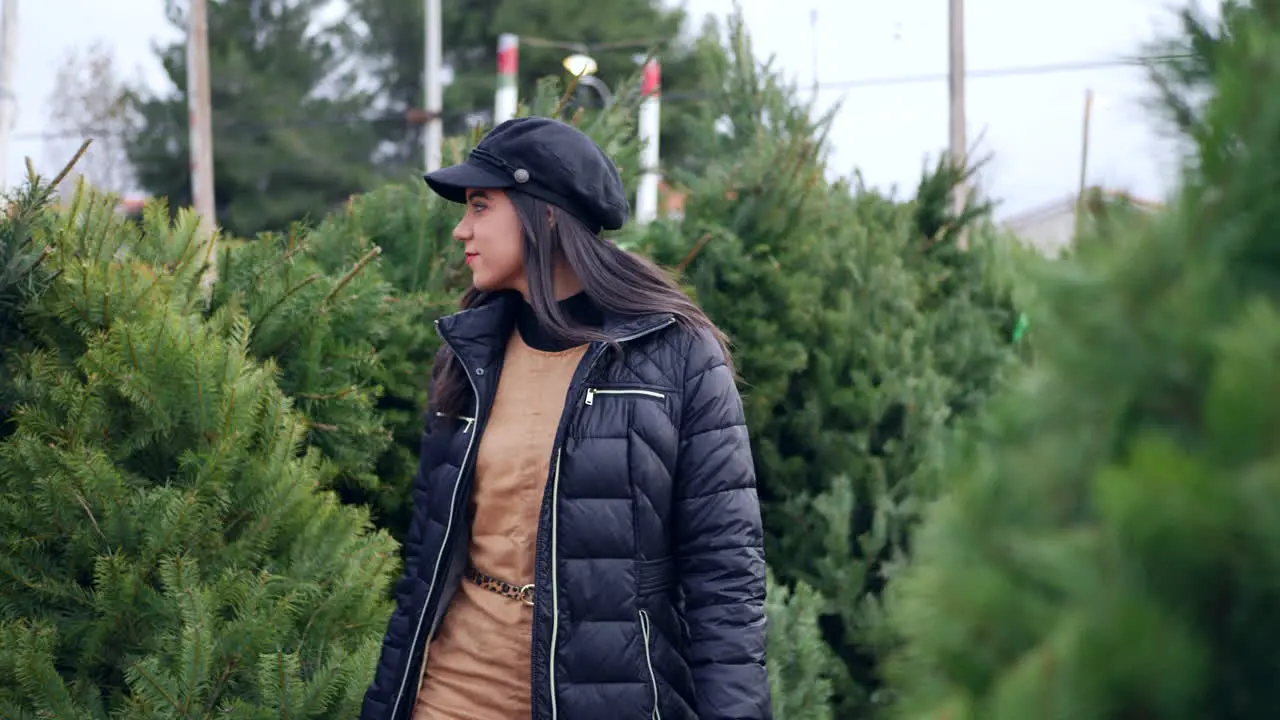 A beautiful woman shopping on a Christmas tree lot with green douglas fir conifers in a holiday botanical nursery