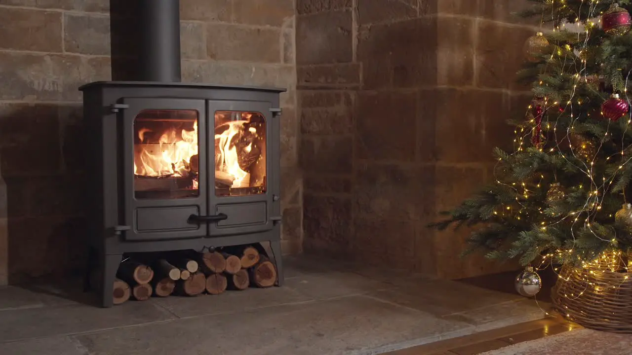 Wood burning stove next to Christmas tree