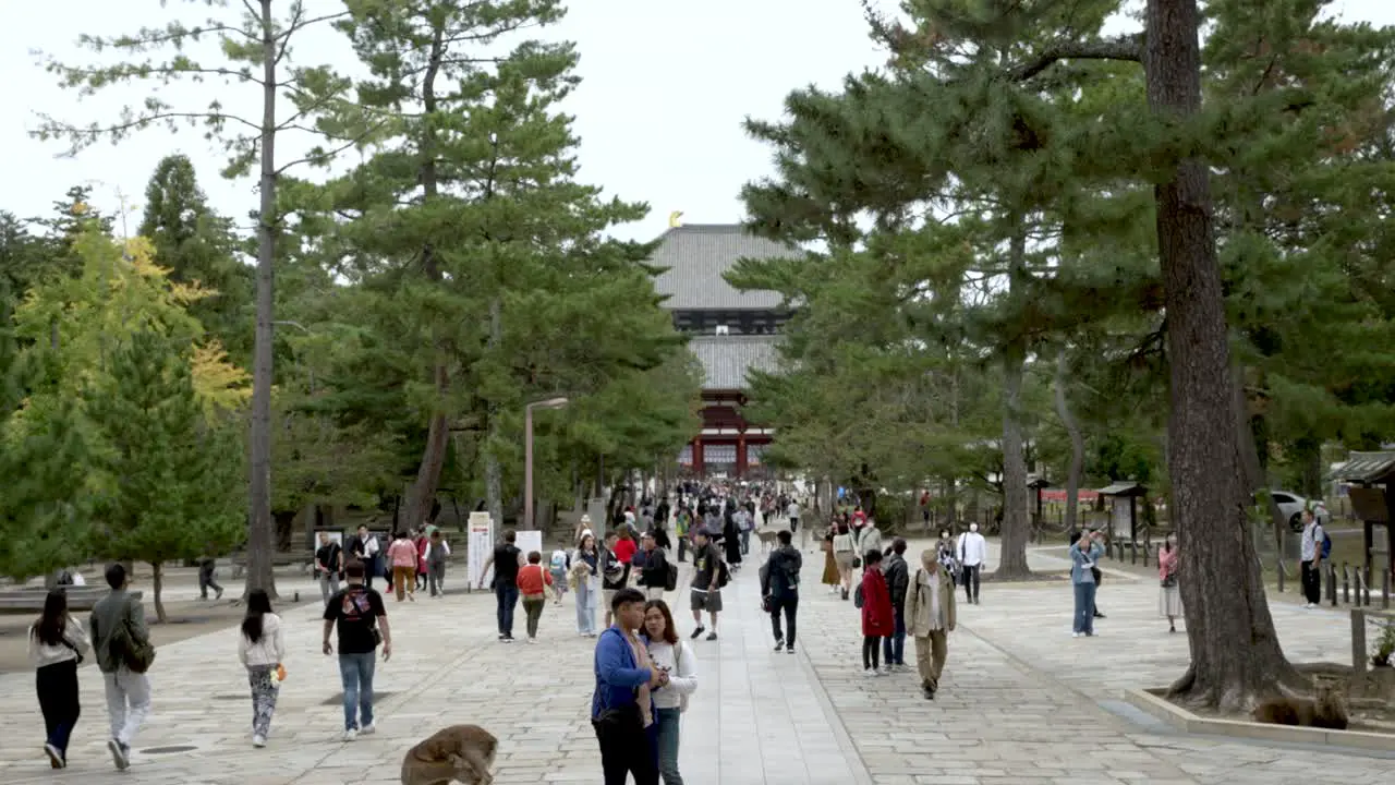 Busy Crowds On Path Leading Towards Todai-ji Namdaimon