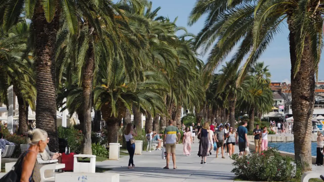 Split Riva boardwalk with tourists