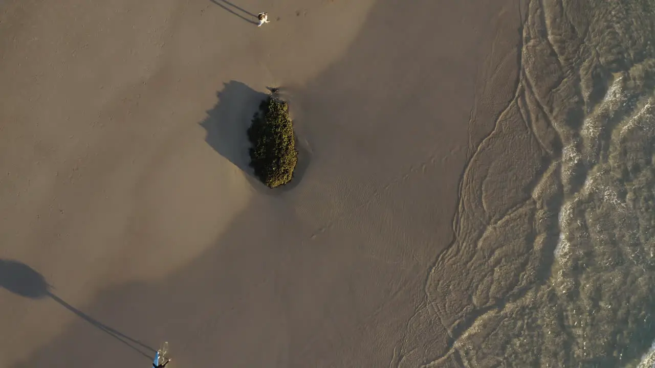 4k Top view drone shot of surfer walking on a beach with surfboard during sunset at Byron Bay Australia