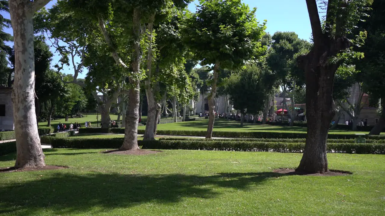 Point of view of the courtyard shadows on the grass and tree leaves sway in the breeze in Topkapi Palace Istanbul Turkey