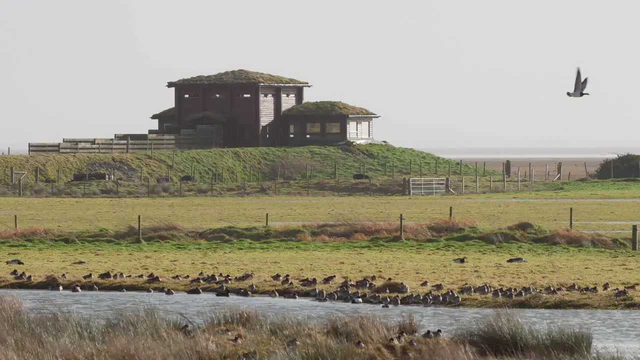 Bird hide at Caerlaverock wetland centre South West Scotland