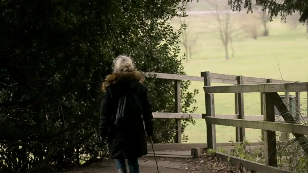 Woman with stick walks over bridge in countryside