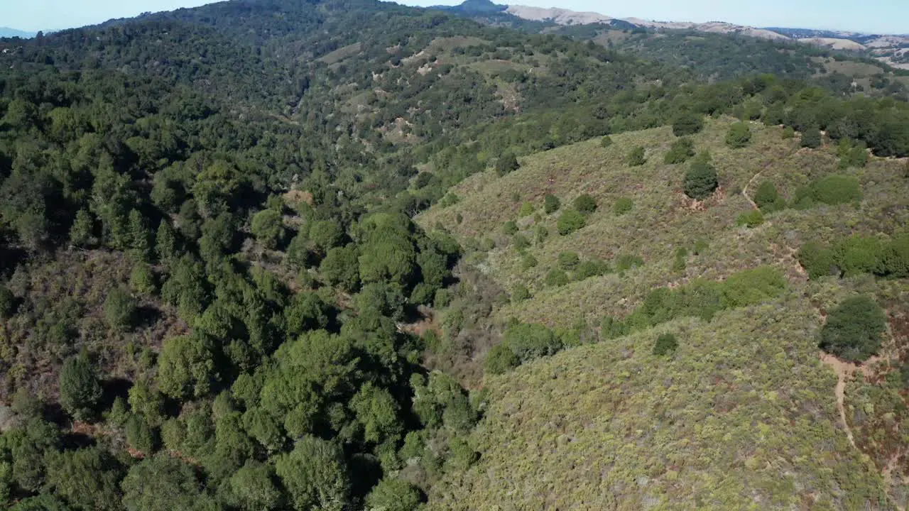 Looking up from the hills in the forest valley