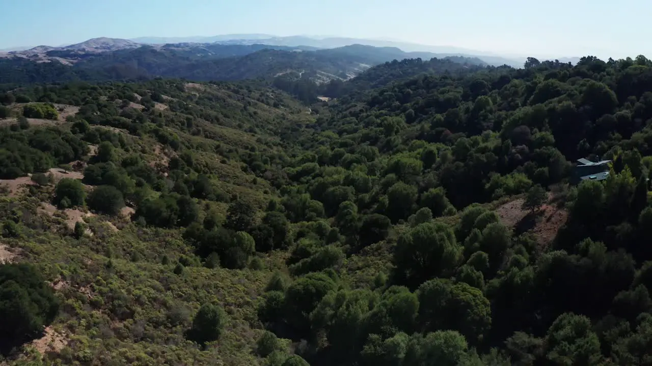 A slow pan down across the valley on a sunny day in the woods