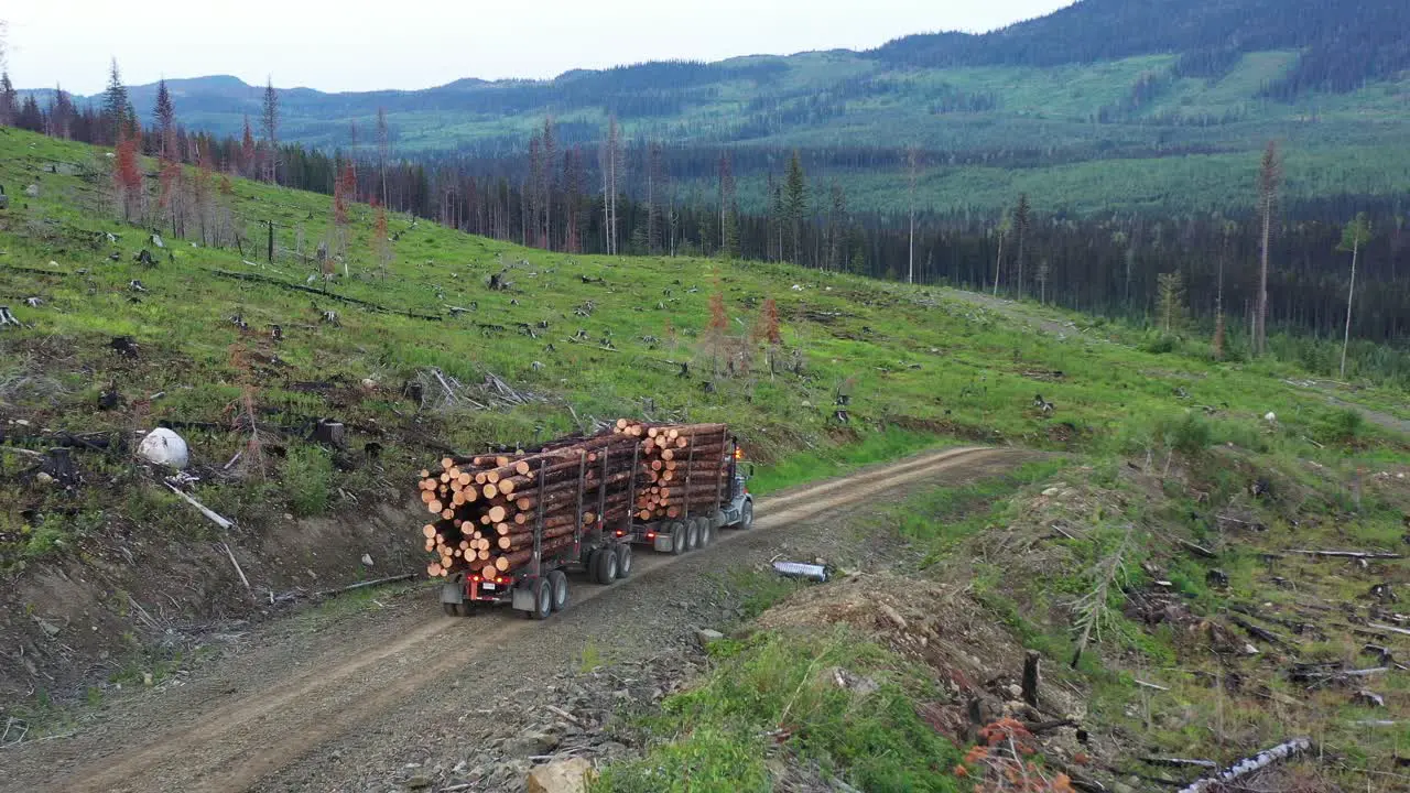 Forestry Economics Unveiled Logging Truck Moves Harvested Timber