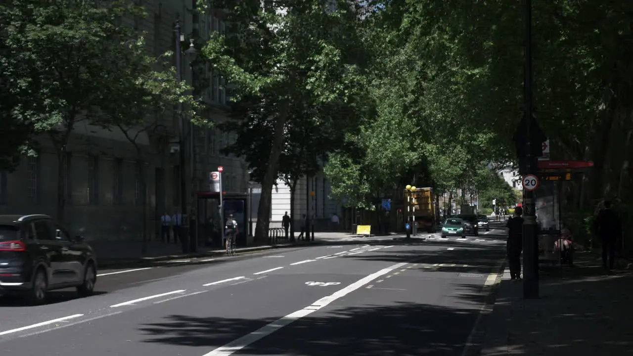 Traffic Going Past On Tree Lined Millbank Road On Sunny Day In London