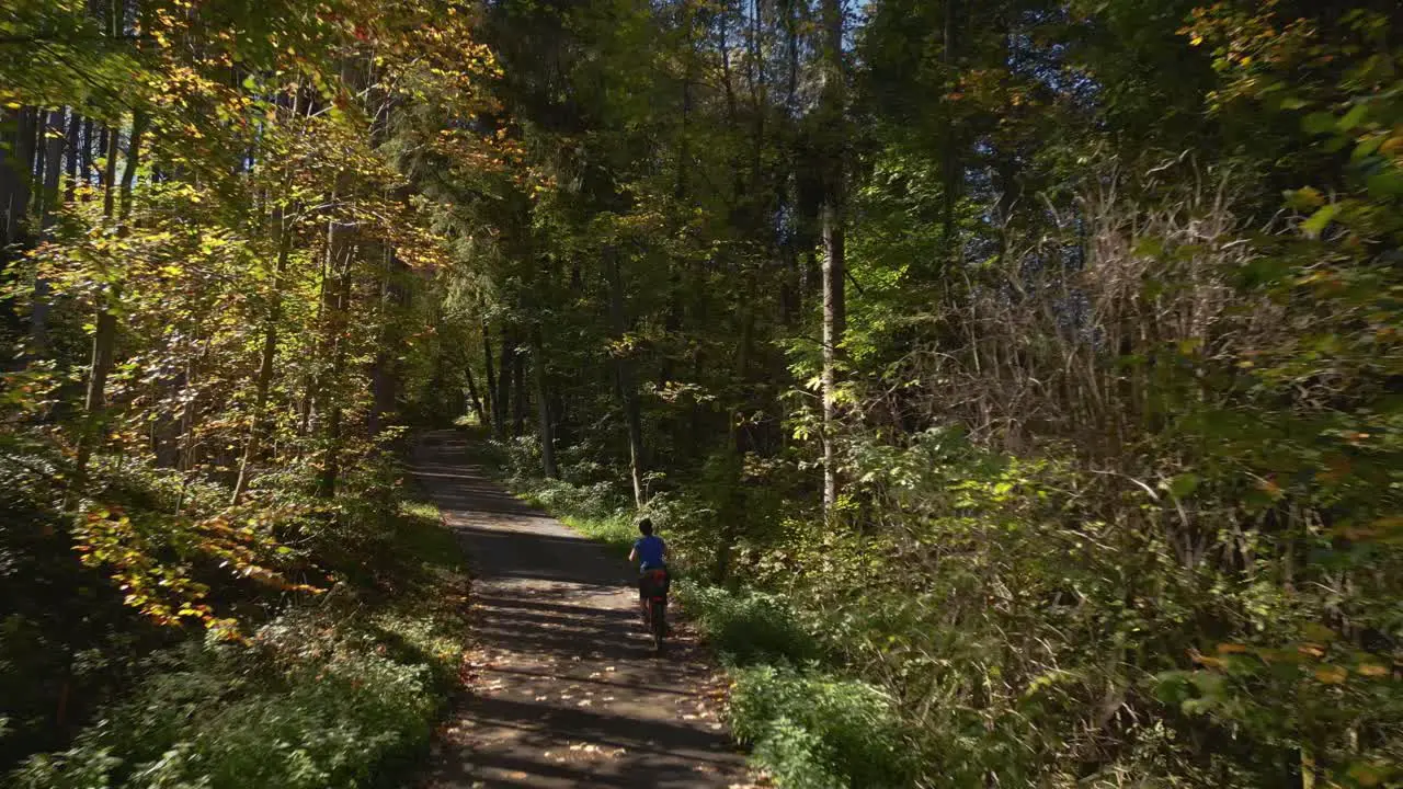 Young woman cycling with a touring bike in a vibrant forest in autumn nature in Bavaria