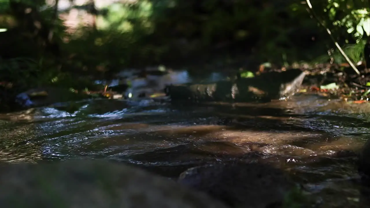 Slow motion macro shot of a mans boot splashing into a puddle while hiking in the outdoors of Canada