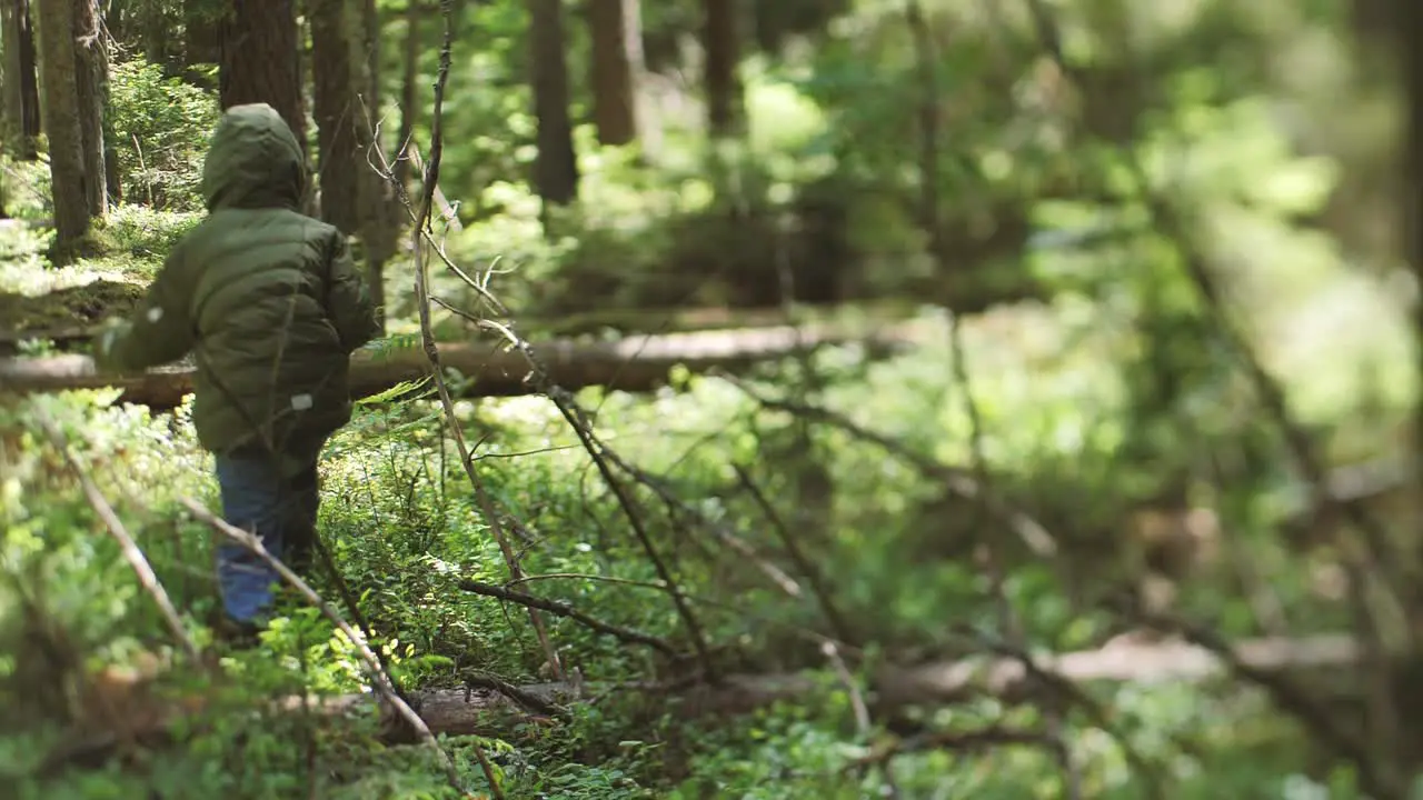 Child alone in the woods