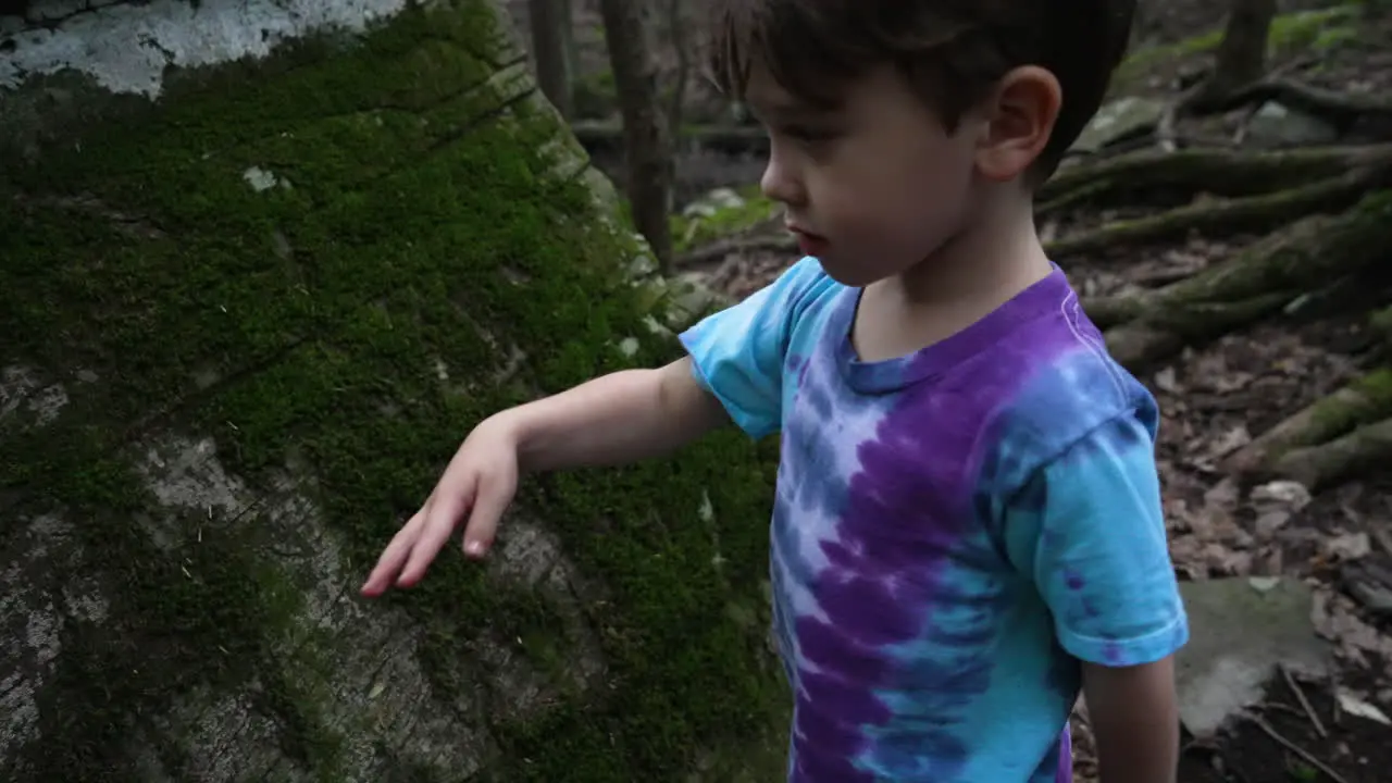 Kid taking off and throwing moss from a tree bark