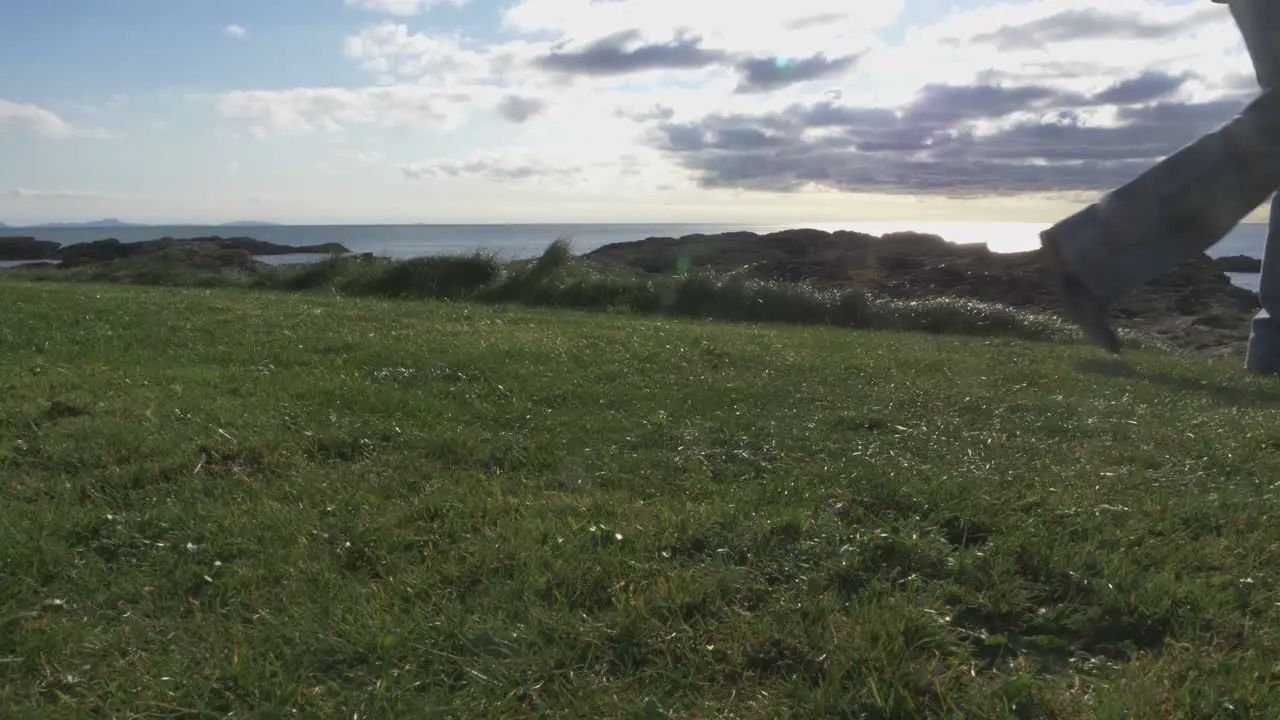 A Man With A Self-Propelled Trimmer Cuts Grass In A Lawn Near The Sea-3