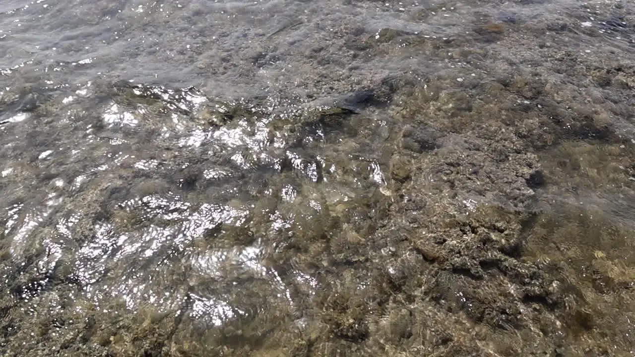 Soft wave of blue ocean on sandy beach