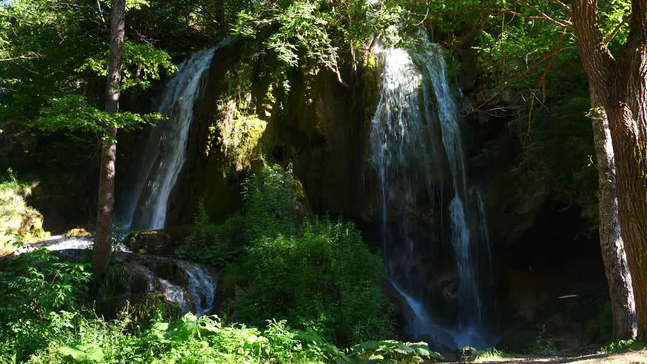 Waterfall in nature surround with greenery and trees