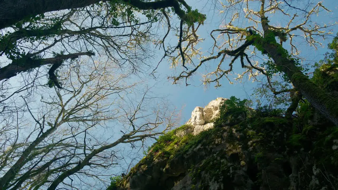 Low Angle View of Rocky Hill Peak With Trees and Bright Blue Sky in Dordogne Region France