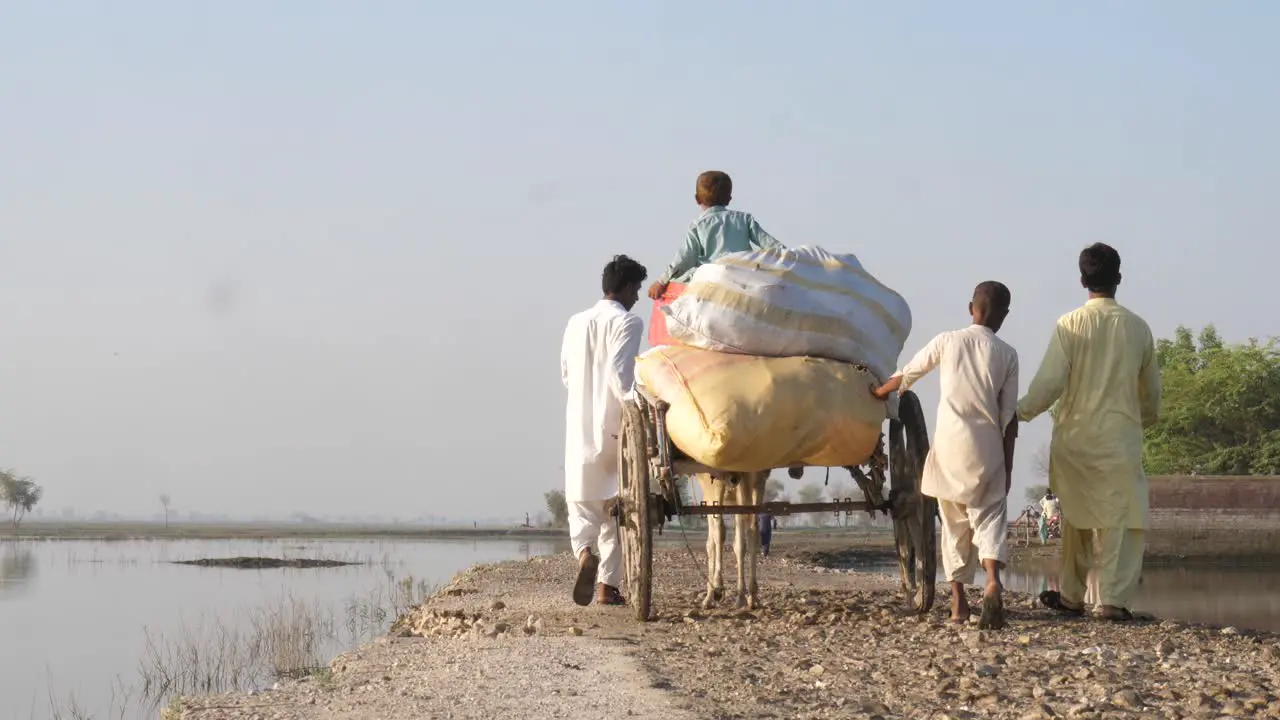 View Behind Group Of People With Cow Pulling Wooden Cart With Sacks Through Flooded Landscape In Sindh