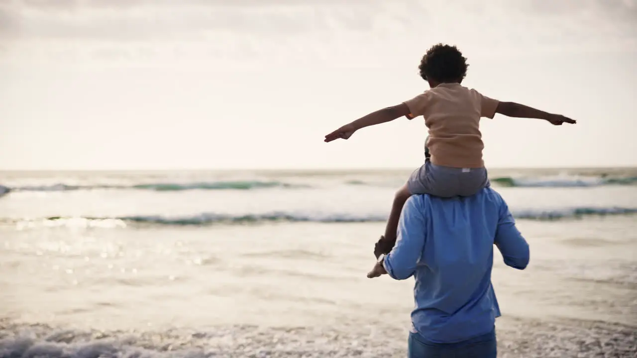 Beach airplane and parent with child in nature