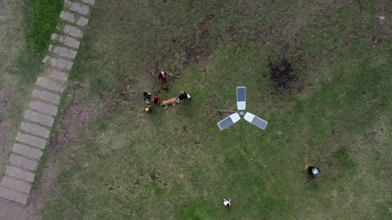 Aerial view of a family that enjoy with your pet at the park