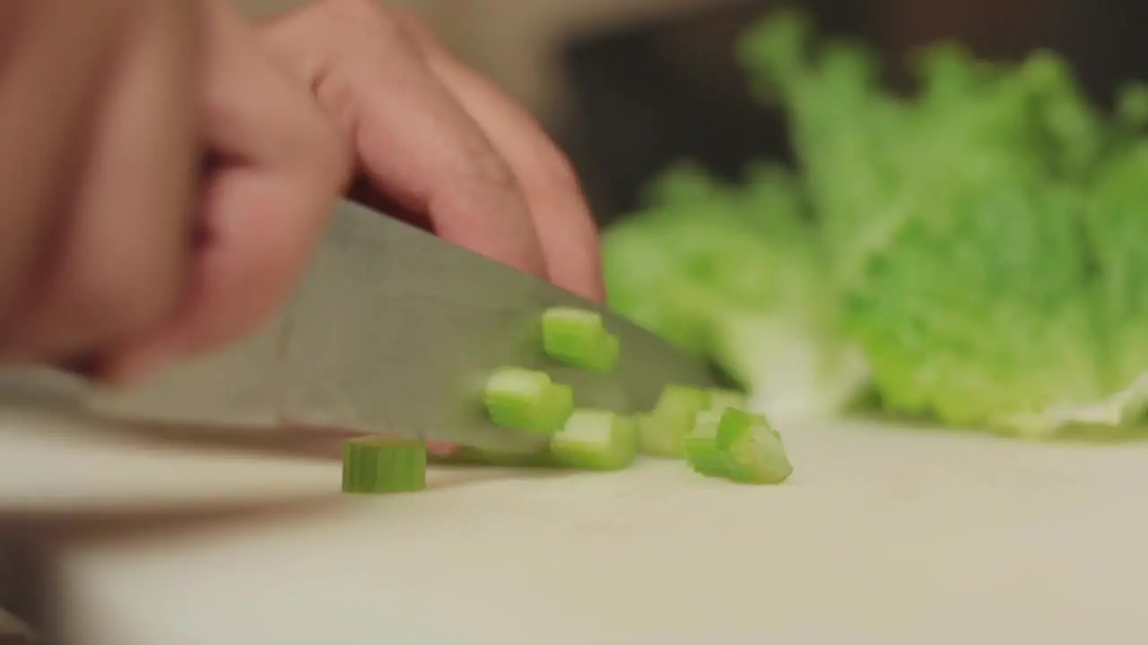 Vegetable slice cutting Vegetable slice cutting