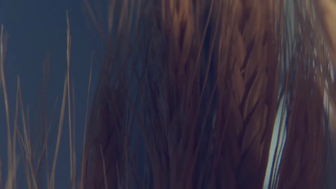 Creative wheat macro crops with moving lighting