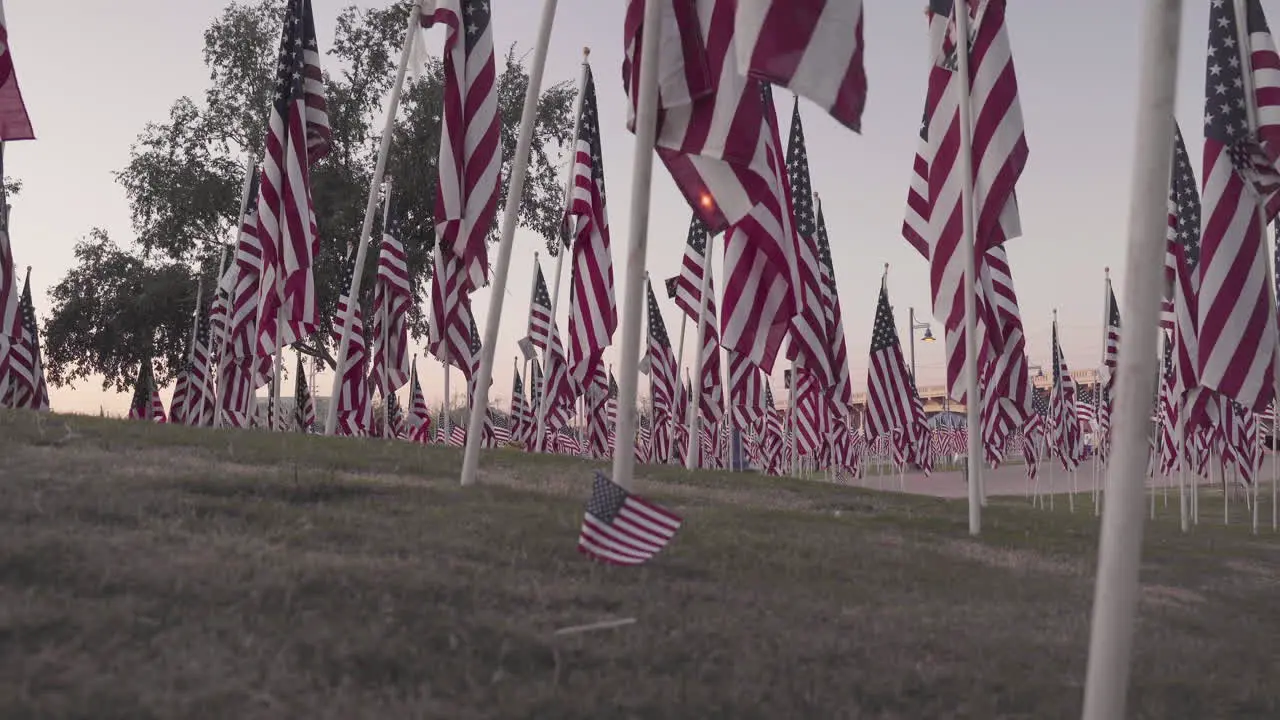 Nine Eleven Memorial with many Flags in a Park for Fallen Soldiers