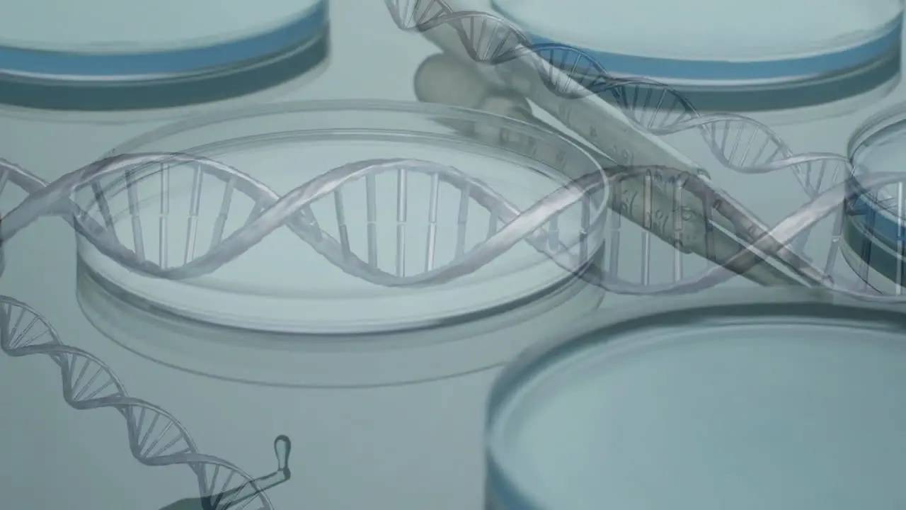 Animation of dna strands over laboratory dishes on grey background