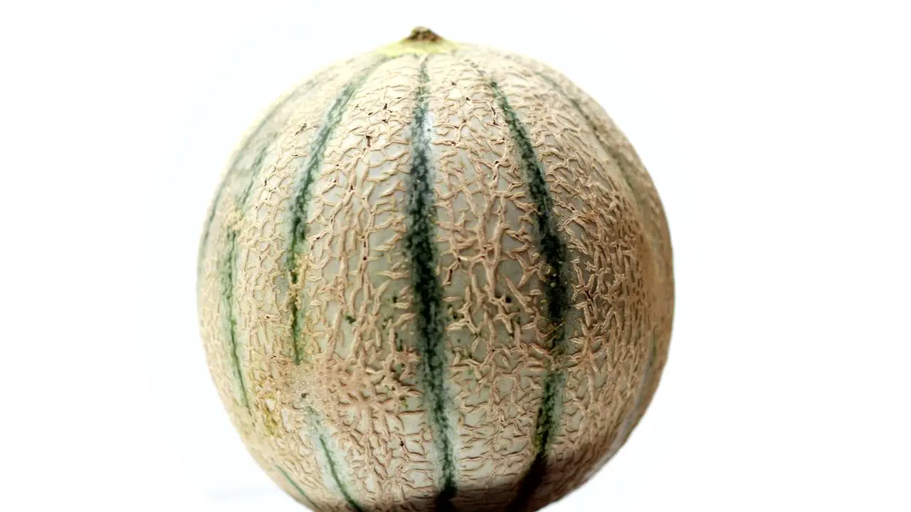 A cantaloupe melon rotation on a white background