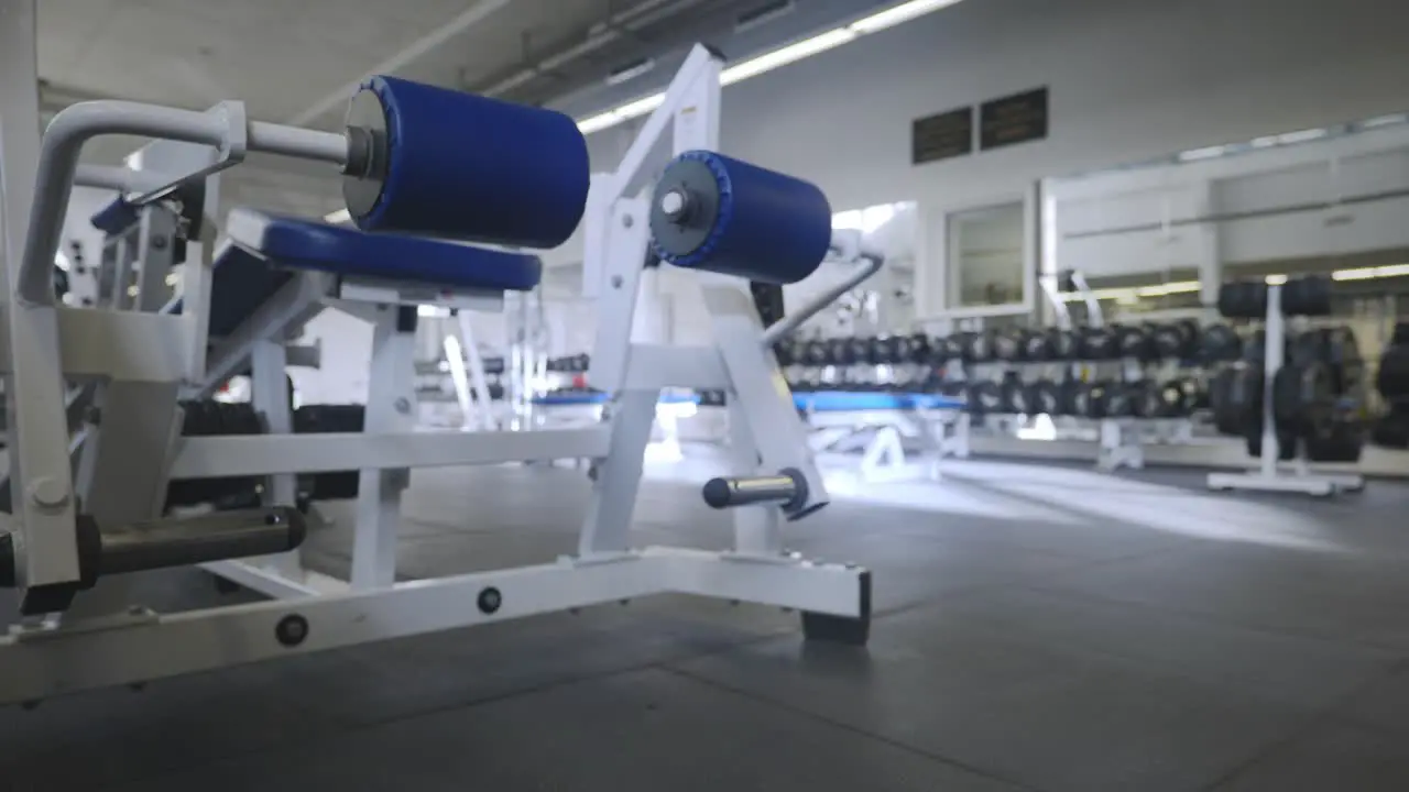 Lifting Weights On Leg Curl Sports Equipment in 4K