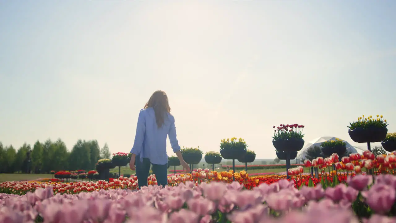 Vista Posterior De Una Mujer Joven Caminando Por Un Hermoso Campo De Flores En Un Día Soleado