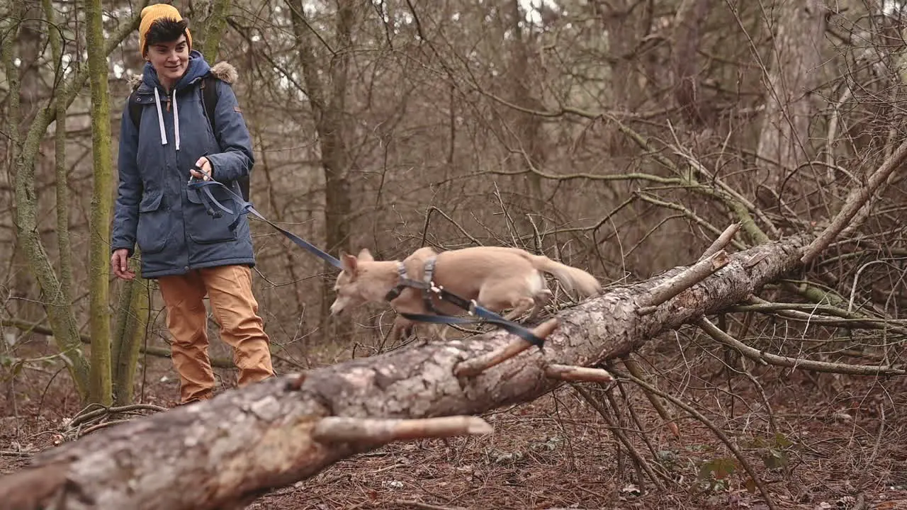 Una Mujer Joven Con El Pelo Corto Da Un Paseo Con Su Perro En El Bosque 2