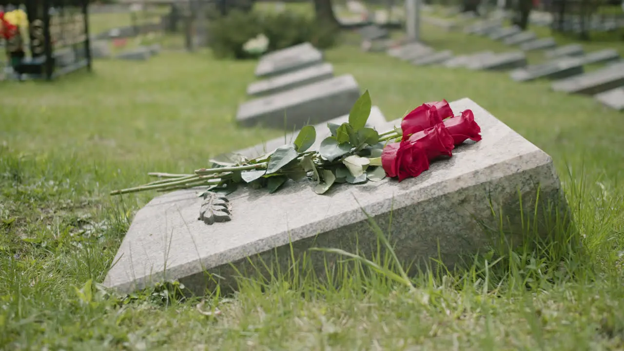 Seitenansicht Von Roten Rosen Auf Grabstein Auf Einem Friedhof