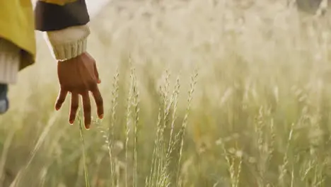 Mano Trigo Y Caminar Con Una Mujer India