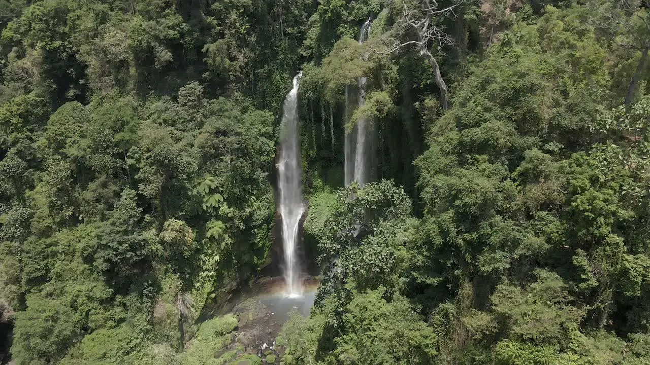 Wispy Sekumpul waterfall flows from lush Bali jungle foliage on cliff