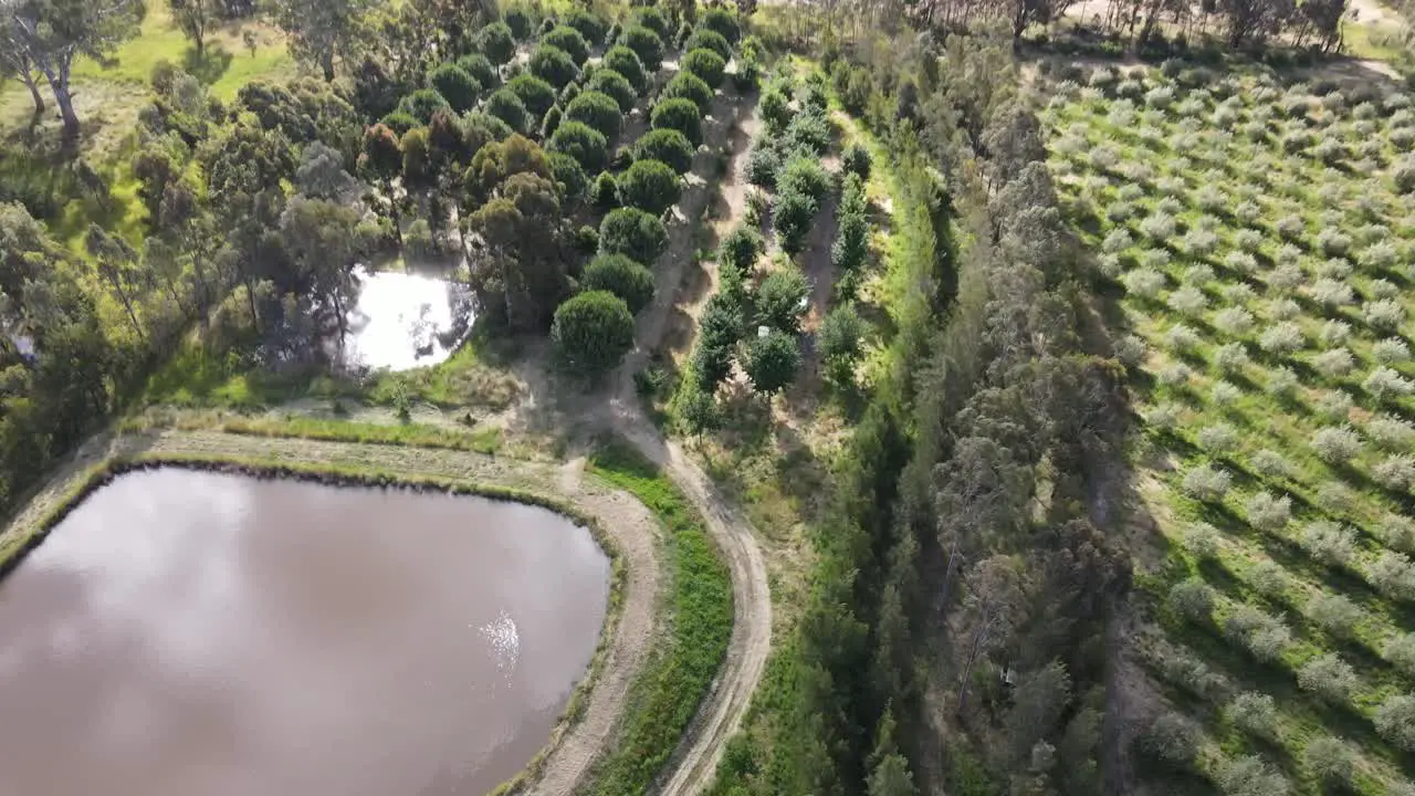 Drone aerial pan to organic permaculture from arid agricultural land